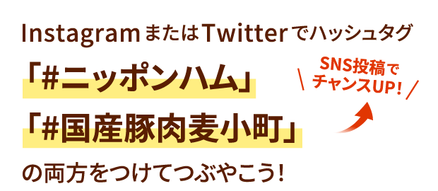 SNS投稿でチャンスUP！InstagramまたはTwitterでハッシュタグ「#ニッポンハム」「#国産豚肉麦小町」の両方をつけて投稿しよう！